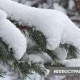 Көпчүлүк аймакта кар жаайт. Эртеңкиге карата аба ырайы
