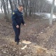 Бишкек шаардык мэриясы бак-дарактарды мыйзамсыз кыйган муниципалитетке айып пул салды