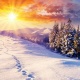 Күн ачык болот. Эртеңкиге карата аба ырайы