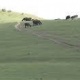 Кыргыз-казак депутаттары жайыт көйгөйлөрүн талкуулашты