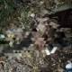 Ак-Жар конушундагы түтүккө 44 жаштагы эркек киши тыгылып калып каза болду
