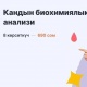Ден соолуктун сегиз көрсөткүчү: Кандын биохимиясы эмнеси менен пайдалуу жана аны кайдан өтсө болот?