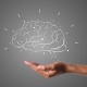 Эс тутумдун начарлашынын негизги себеби карылыкпы? АКШнын окумуштууларынын изилдөөсү