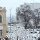 Суукка карабай Тарых музейине кирүү үчүн кезек күткөндөр дагы деле көп (сүрөт)