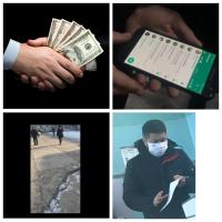 Шайлоодо мыйзам бузууга аракеттенгендер. Социалдык тармактарда бир катар видео-сүрөттөр тарады