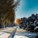 Күздүн акыркы күнүнө карата аба ырайы менен таанышып алыңыз