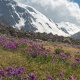 Тоолордун эл аралык күнү. Кыргыз өлкөсүн көрккө бөлөгөн кооз тоолор (сүрөт)