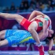Жакында! Күрөштүн түрлөрү боюнча Кыргыз өлкөсүнүн чемпиондугу өтөт