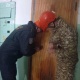 Бишкектен батирдин ичинен 91 жаштагы аял кишинин жансыз денеси табылды
