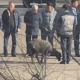 Курмандык чалып... "Ысык-Көл" мейманканасын бузуу процесси кандай башталды?