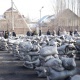 Бишкекте 150 аз камсыз болгон үй-бүлөгө 10 мүшөктөн көмүр берилди