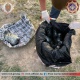 Өлкөдө баңгизат сатуучулардын эл аралык тобу жок кылынды