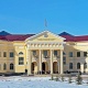 Дары-дармектер жана медициналык буюмдар департаментине 8 кылмыш иши козголду