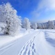 Кээ бир аймакта кар жаайт. 3-февралга карата аба ырайы