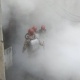 Кадамжайда шахтада өрт чыгып 243 баш кой, эчки күйүп кетти