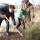Жаз жыттанат. Ош шаарында көчөт отургузуу иштери башталды (сүрөт)