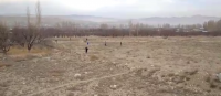 ЭЛДИК ВИДЕО: "Көк-Таш айылына коңшу Тажик тарап көчөт отургузуп жүрөт" дейт окурман