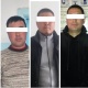 Чүйдө 40тан ашык кой уурдоого шектүү жарандар кармалды. Бирөөсү уюшкан кылмыштуу топтун мүчөсү 