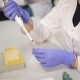 Орусияга кете турган кыргыз студенттери эки жолу ПЦР анализ тапшыруусу керек