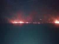 Токмокто айланма унаа жолундагы өрттөн 4 гектарга жакын куураган чөп күйдү