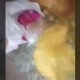 Ысык-Көлдө бала бакчалардын биринде балдарга көгөргөн тамак-аш берилери айтылды