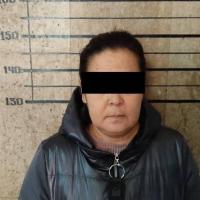 Бишкек. Түн ичинде чала таанышынын 65 миң сомун жана күрмөсүн уурдап кеткен аял кармалды