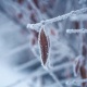 Жылуу кийиниңиз. 26-февралга карата аба ырайы