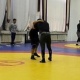 Эркин күрөш боюнча курама команда Азия чемпиондугуна даярдык көрүүдө