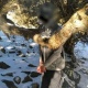 "Тёплые ключи" санаториясында скотчтолуп, асылган абалда табылган маркумга дагы бир экспертиза дайындалды