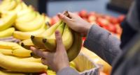 Адамзат банансыз калышы мүмкүн: Кооптуу козу карындын айынан плантациялар жабылууда