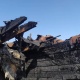Көлдөгү "Ак Марал" эс алуу борбору өрттөн кийин (сүрөттөр)