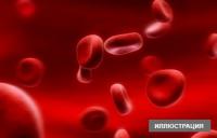 ЖЫЛНААМА, 17-АПРЕЛЬ: Гемофилия менен күрөшүүнүн бүткүл дүйнөлүк күнү