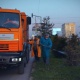 Бишкек мэриясы ийне жалбырактуу дарактар жана эмендерди дарылоодо