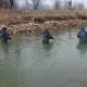 Таласта сууга чөккөн 2 жашар баланы издөө иштери ата-энесинин макулдугу менен токтотулду