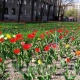 Бишкекте жаан-чачын жаабайт. 23-апрелге карата аба ырайы