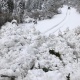 Ысык-Көлдө эки унаа жолдо кар көчкү түштү