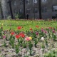 Күн ысык болот. 30-апрелге карата аба ырайы