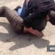 Беловодск айылындагы психоневрологиялык интернатта 15 жаштагы бала сабалып каза болду