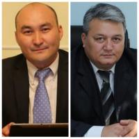 Доллардын курсунун төмөндөшү боюнча эксперттердин пикири