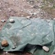 Ысык-Көлдө кан болгон абалда кишинин сөөгү табылды. Шектүү изделип жатат