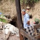 Сузакта ураган шахтанын алдында калган 2 киши каза болду