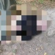 Чоң Чүй каналынан аял кишинин жансыз денеси табылды