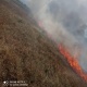Чүйдөгү айылдардын биринде 60 түп алма бак күйүп кетти