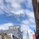"Ал үйгө келе жатат". Лондондо финалдык оюндун алдында учактар учту