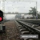 Кайнатасы менен урушуп кеткен. Өзбекстанда келин 2 наристеси менен кошо поезддин алдына боюн таштады
