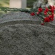 Быйыл дүйнөдө башчылардын өлүмү боюнча рекорддук көрсөткүч катталды