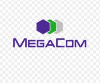 "Элиза үй буюмдарынын" чуусу: MegaCom компаниясынан түшүндүрмө