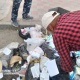 Шаардын көрктөндүрүү эрежелерин бузган ишканаларга айып пул салынды