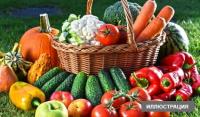 Кыргыз өлкөсүнөн Орусияга алып өтүүгө аракет кылган контрабандалык жүккө бөгөт коюлду