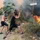 Алжирдеги тилсиз жоо 42 адамдын өмүрүн алды. Алардын 25и аскер кызматкери